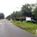 đất nền long thành