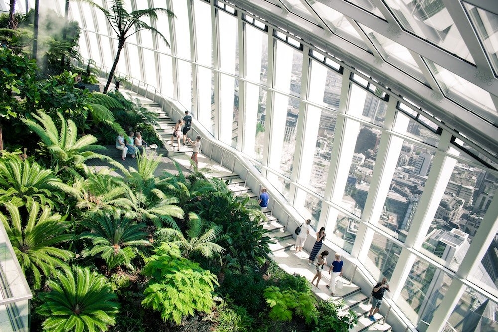 sky garden tai palm garden