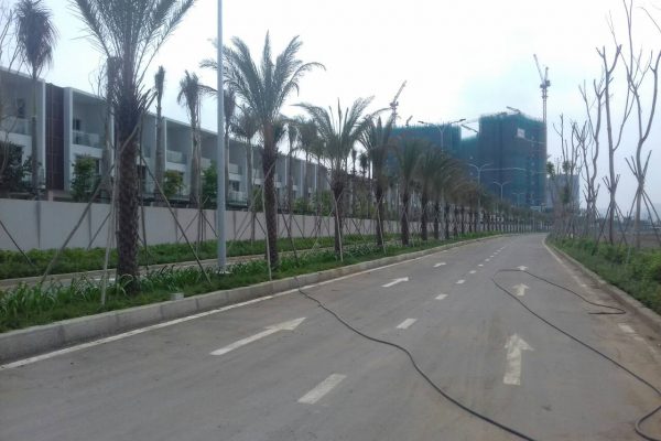 tong the du an Palm Garden