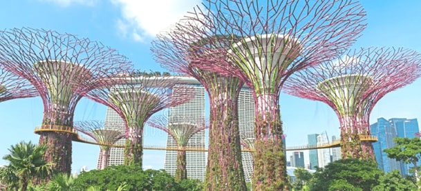 dự án vinhomes grand park