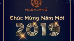 nasaland chúc tết kỷ hợi