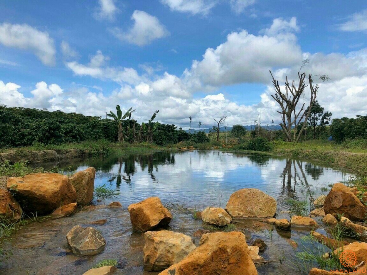 Tiện ích dự án đất vườn 70 Damb'ri Bảo Lộc Lâm Đồng - Hồ sinh thái