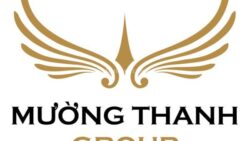 Logo chủ đầu tư Mường Thanh Group
