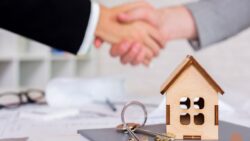 Quy định về đấu giá bất động sản 