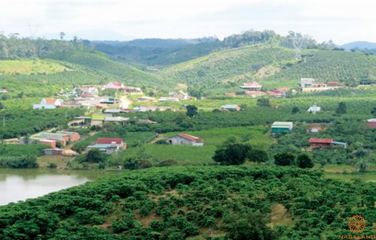 Dự báo về nhu cầu sử dụng đất Huyện Đam Rông theo giai đoạn từ năm 2025 - 2050