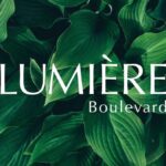 Nasaland trở thành Đại lý Phân phối dự án Lumiere Boulevard