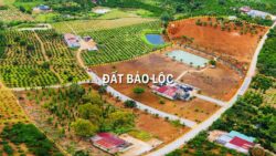 Có nên mua đất nền Bảo Lộc không?