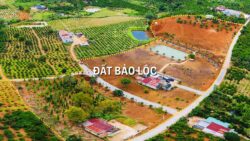 Giá bán đất nền Bảo Lộc dao động từ 2,4-7 triệu/m2