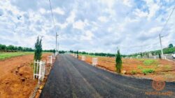 Đất nền Lộc Phát Bảo Lộc