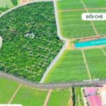 Đất nền Lộc Tân Bảo Lộc