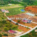 mua đất nền Bảo Lộc
