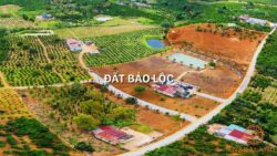 mua đất nền Bảo Lộc