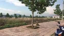 Xu hướng đầu tư đất nền Đồng Nai giá rẻ bùng nổ những năm gần đây