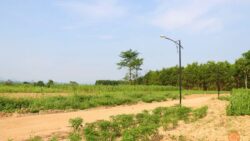 Giá đất rẫy Đồng Nai tăng từ 3 - 5 lần so với năm ngoái