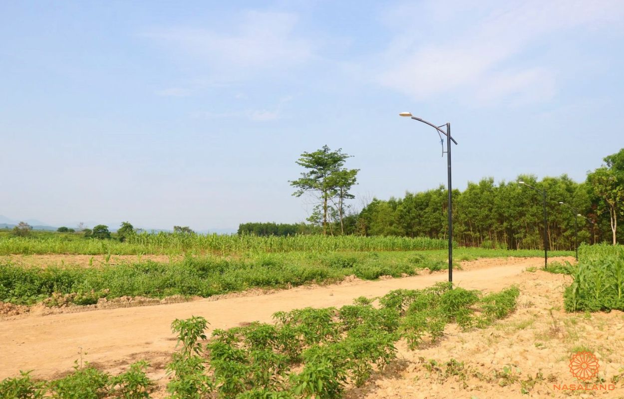Thực hư clip Cò dựng rạp rào bán đất đắt như tôm tươi ở Bình Phước