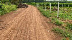 Tư vấn kinh nghiệm mua đất sào Đồng Nai