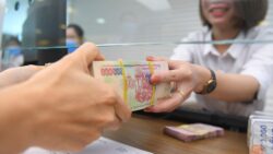 Ngân hàng được nhiều cá nhân và tổ chức kinh tế chọn làm nơi trú ẩn vốn