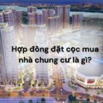 Định nghĩa về hợp đồng đặt cọc mua nhà chung cư