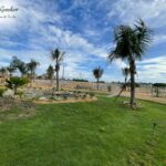 Vì sao nên sở hữu một khu vườn sinh thái Orchard Garden?